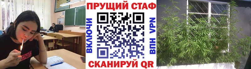 Где продают наркотики Петушки Галлюциногенные грибы  Амфетамин  Меф мяу мяу  КОКАИН  Альфа ПВП  ГАШИШ 