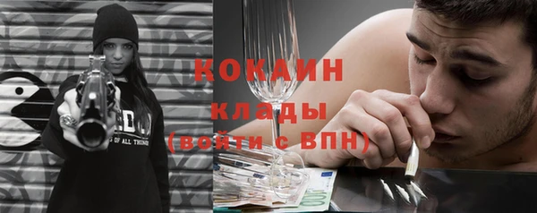 PSILOCYBIN Пересвет