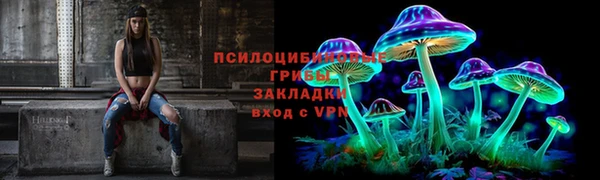 шишки Переславль-Залесский