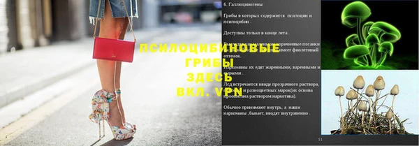 прущая мука Алексин