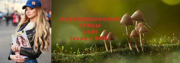 PSILOCYBIN Пересвет