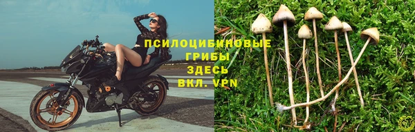 прущая мука Алексин