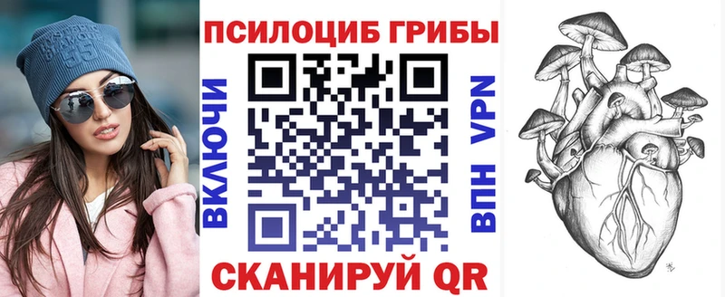 Галлюциногенные грибы GOLDEN TEACHER  KRAKEN вход  Петушки 